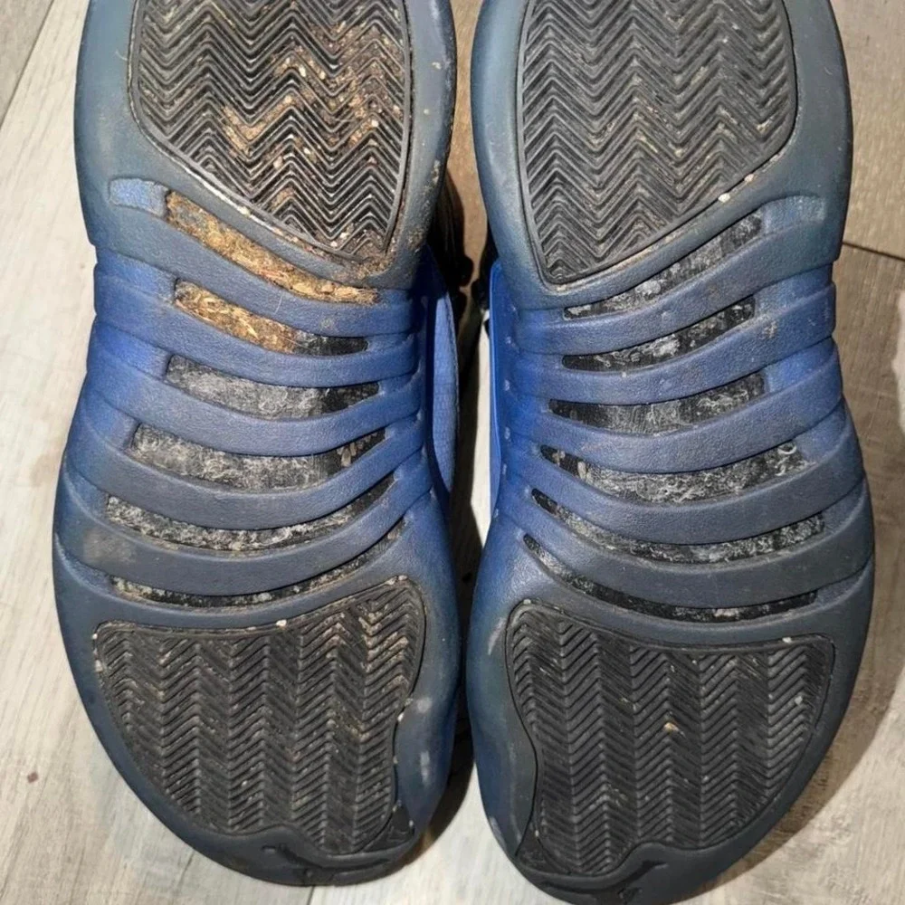 Jordan air 12